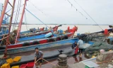 Ngư dân tại các tỉnh Nghệ An, Hà Tĩnh đưa tàu thuyền cập bờ tránh bão.