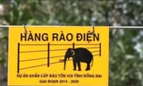 Hàng rào điện ngăn voi rừng đầu tiên của Việt Nam