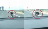 'Quái xế' vừa nằm vừa lái xe máy trên cầu Nhật Tân