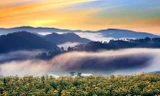 Ảnh Đà Lạt huyền ảo trong sương khiến vạn người mê