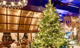 Cây thông Noel đắt nhất thế giới. Ảnh: RT