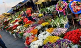 10 triệu đồng có nên đầu tư kinh doanh hoa tươi dịp Tết?