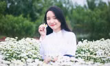 Ngắm thiếu nữ Hà thành đẹp mong manh bên cúc họa mi