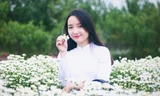 Ngắm thiếu nữ Hà thành đẹp mong manh bên cúc họa mi
