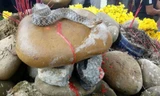 Người dân tụ tập cúng bái mê tín dị đoan bên ngôi mộ vô danh sau khi xuất hiện cặp rắn nước