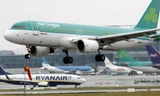 Một chiếc máy bay của hãng hàng không Aer Lingus (Ảnh minh họa)
