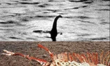 Xác động vật dạt vào bờ Loch Ness, nghi là quái vật huyền thoại