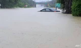 Xe hơi bị nhấn chìm giữa biển nước lũ tại Đài Loan. Ảnh: AFP
