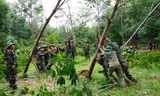 Cán bộ, chiến sĩ Sư đoàn 968 giúp nhân dân xã Cam Thành, huyện Cam Lộ, tỉnh Quảng Trị dựng lại cây Cao su bị đỗ.