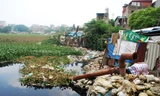 Hồ nào ô nhiễm nhất Hà Nội?