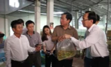 Bí thư Đinh La Thăng thăm cơ sở sản xuất cá cảnh xuất khẩu tại TPHCM (Ảnh: Báo Giao thông)