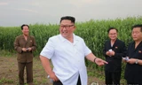 Ông Kim Jong-un thăm trang trại trồng sậy ở Sindo. Ảnh: Yonhap