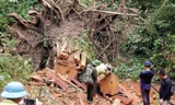 Một vụ khai thác lâm sản trái phép tại huyện Kbang
