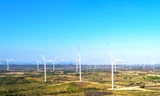 Thanh tra Chính phủ chỉ rõ sai phạm tại 5 dự án điện gió ở Gia Lai 
