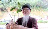 Kon Tum mục tiêu có 10 nghìn ha sâm Ngọc Linh