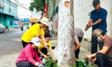 Không chỉ dọn rác, người dân còn trồng cây để tạo mảng xanh cho khu dân cư