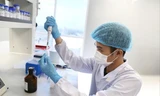 Nghiên cứu sản xuất vắc-xin ngừa COVID-19 tại Công ty Cổ phần Công nghệ sinh học dược Nanogen. Ảnh: H.G
