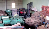 Lô gỗ trắc của Cty Ngọc Hưng bị Hải quan Đà Nẵng thu giữ năm 2012. Ảnh: N.C