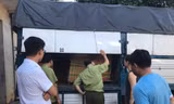 Lực lượng chức năng kiểm tra và phát hiện lô gạch nghi nhái nhãn hiệu Royal tại thị xã Sơn Tây