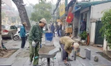 Hà Nội công bố kết luận thanh tra lát đá vỉa hè vào thời điểm cận Tết nguyên đán