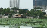 Khu vực Đầm Trị (quận Tây Hồ), nơi dư luận phản ánh có nhiều công trình không phép "mọc" lên.