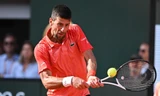 Djokovic dễ dàng vào chung kết Roland Garros sau khi Alcaraz chấn thương