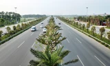 Mướt mắt hàng cây xanh trên đại lộ Võ Nguyên Giáp 