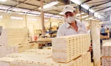 Ngành Lâm nghiệp đặt mục tiêu xuất khẩu 12 tỷ USD trở lên trong năm 2020