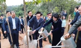 Phó Chủ tịch nước Đặng Thị Ngọc Thịnh cùng lãnh đạo các bộ ngành, tỉnh Phú Thọ tham gia trồng cây tại Khu di tích lịch sử Đền Hùng.