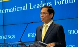 Bộ trưởng Bùi Thanh Sơn phát biểu tại Viện Brookings. (Ảnh: Mofa)