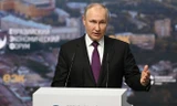 Việt Nam đánh giá cao sáng kiến 'Đối tác Đại Á – Âu' của Tổng thống Nga Putin