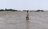 Một người lội giữa bãi bùn ở Port Sudan ngày 26/8. (Ảnh: Reuters)