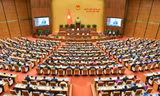 Quốc hội bầu Chủ tịch nước, Chủ tịch Quốc hội, phê chuẩn thành viên Hội đồng Quốc phòng và An ninh