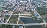 Hà Nội dừng đấu giá 26 lô đất trả lại tiền cọc ở huyện vùng ven