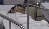 Nạn nhân kể lại giây phút kinh hoàng bị hổ cắn cụt hai tay