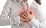 Coi chừng nhồi máu cơ tim do…ong đốt