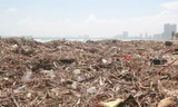 Kinh hãi với những núi rác khổng lồ trên bãi biển Đà Nẵng sau bão