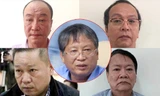 Khởi tố thêm 5 đối tượng liên quan những sai phạm của Vũ nhôm