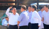 Ông Trương Quang Nghĩa, Bí thư thành ủy Đà Nẵng kiểm tra tình trạng ô nhiễm, xói lở trên bãi biển Đà Nẵng. Ảnh Nguyễn Thành