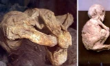 Hai xác ướp cổ xưa bí ẩn được phát hiện trong thùng carton bên trong một nhà xe ở California.