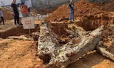 Sau khi đào trúng mộ cổ, người công nhân đã nhìn thấy gì mà run rẩy, sợ hãi? Ảnh KK News.