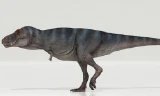 Khủng long bạo chúa T-Rex được cho là đi chậm hơn con người