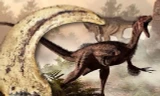 Không phải T-Rex với "cú đớp tử thần", khủng long Velociraptor mới là kẻ săn mồi vô địch thời tiền sử.
