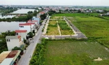 Hôm nay kiểm tra phiên đấu giá đất cao bất thường ở huyện Thanh Oai, Hoài Đức