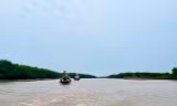 Thái Bình công bố vị trí Khu bảo tồn thiên nhiên đất ngập nước Tiền Hải, giữ nguyên 12.500ha