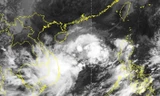 Trong đêm nay áp thấp nhiệt đới có khả năng thành bão, ảnh hưởng một vùng rộng lớn