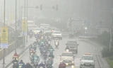 Các tỉnh miền Bắc trời mưa rét, sương mù kéo dài trong những ngày tới. 