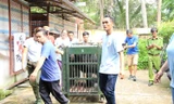 Giải cứu 6 cá thể gấu bị nuôi nhốt lấy mật ở Bình Dương