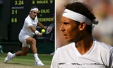 Federer và Nadal có thể gặp nhau ở bán kết Wimbledon 2019
