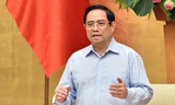 Thủ tướng: Chuẩn bị kịch bản thích ứng an toàn với dịch bệnh khi có nhiều vắc xin